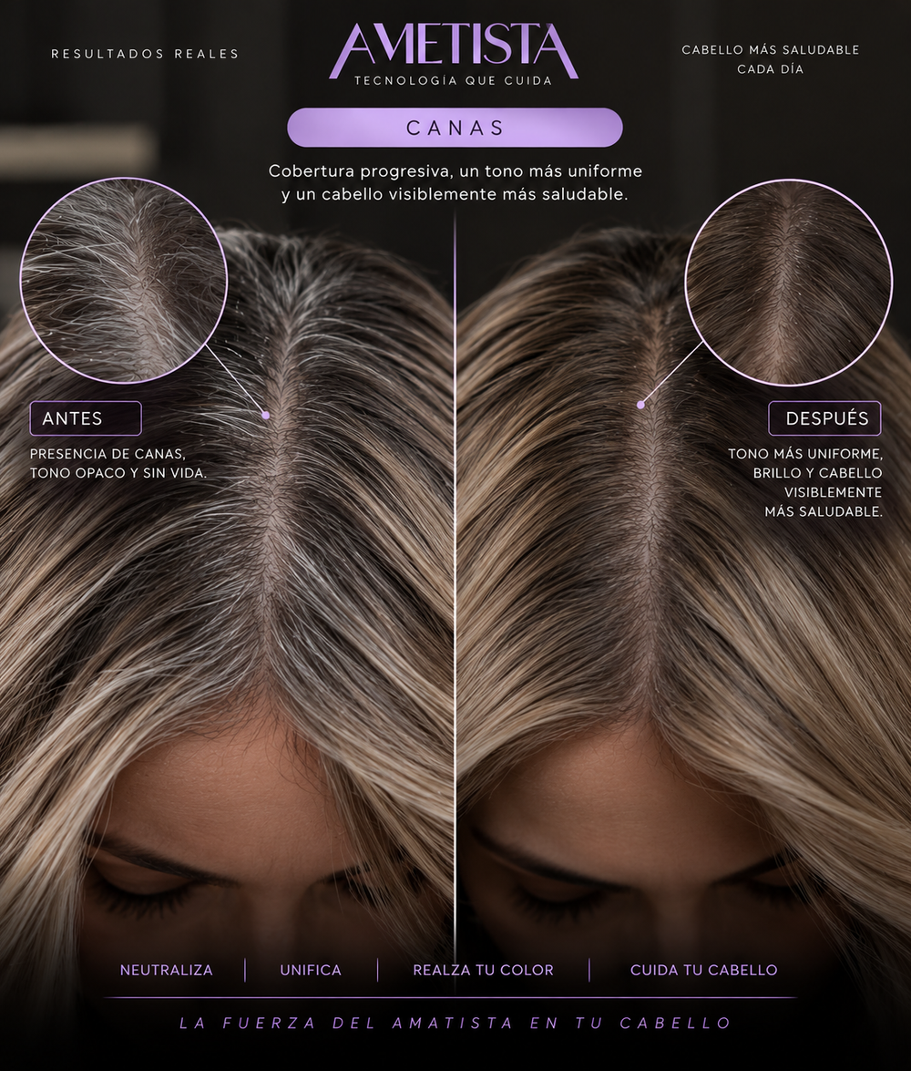 Canas